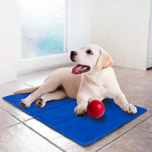 Cargar imagen en el visor de la galería, MANTA REFRESCANTE - COOL MAT